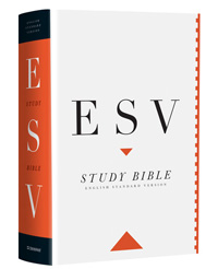 ESV STUDY BIBLE PERSONAL CLOTH