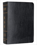 ESV STUDY BIBLE PERSONAL GENUINE LEATHER BLACK
7.5 POINT TYPE