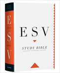 ESV STUDY BIBLE PERSONAL CLOTH
