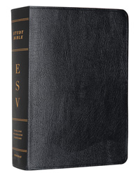 ESV STUDY BIBLE PERSONAL GENUINE LEATHER BLACK
7.5 POINT TYPE