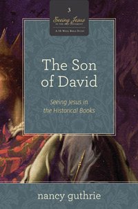 SON OF DAVID: SEEING JESUS IN THE HISTORICAL BOOKS - BOOK