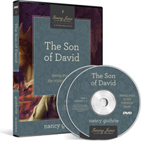 SON OF DAVID: DVD SEEING JESUS IN THE HISTORICAL BOOKS - DVD