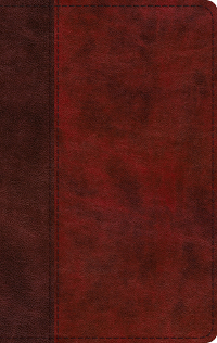 ESV Large Print Thinline Bible TruTone, Burgundy/Red, Timeless Design