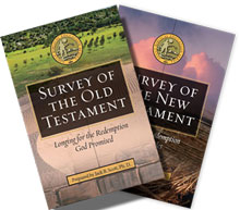 ABES Surveys of the Old and New Testaments (kit)