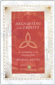 Delighting in the Trinity: An Introduction to the Christian Faith