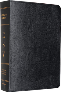 ESV STUDY BIBLE BLACK GENUINE LEATHER
Text Font size 9.0
Notes Font size 7.0